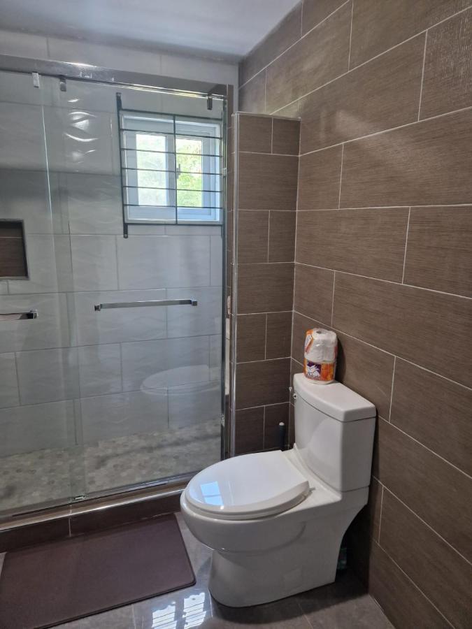 Hotel Amharic Kingston Zewnętrze zdjęcie