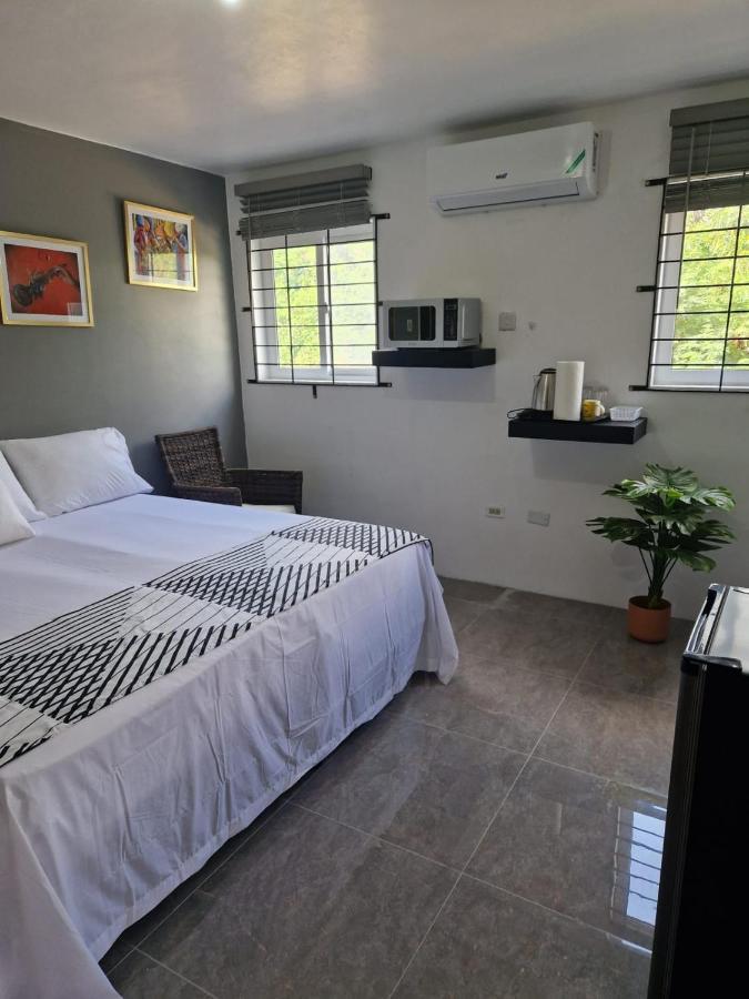 Hotel Amharic Kingston Zewnętrze zdjęcie