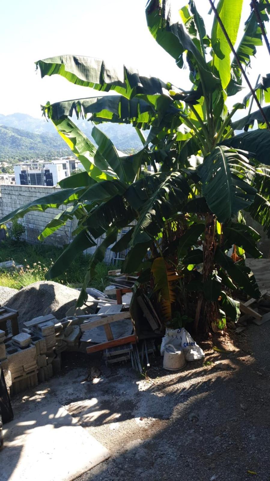 Hotel Amharic Kingston Zewnętrze zdjęcie